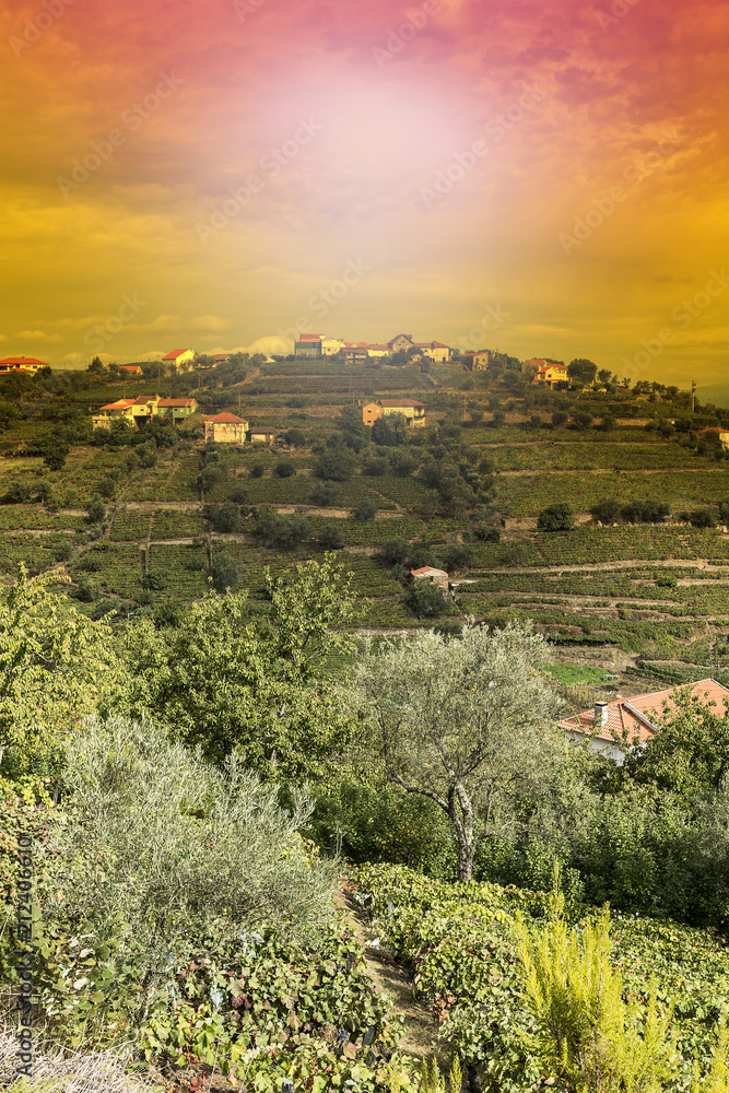 Obraz premium River Douro region in Portugal