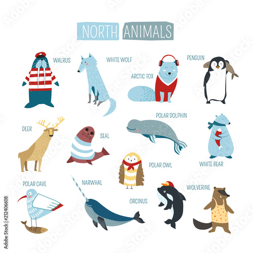 North or South polar animals vector cartoon design