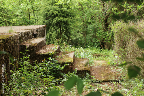 Steps of an abandoned house in the forest