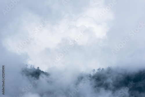 partly hidden and partly visible mountain and trees in cloud