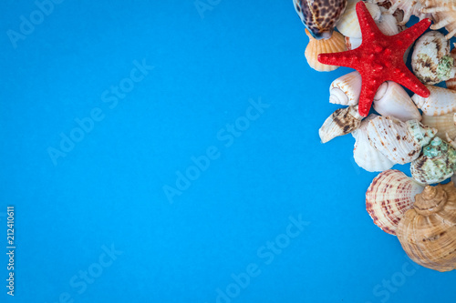 Summer time concept with sea shells and starfish on a blue background