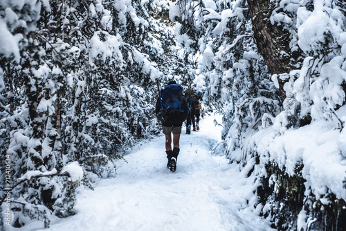 People hiking in a snowy forest. kahurangi national park, New Zealand.