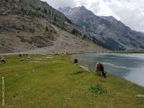 Beautiful view of a mountain and a lake of Saifullah Lake, Swat Khyber Pakhtunkhwa