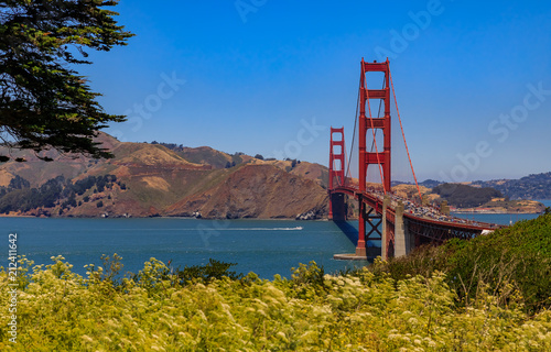 Golden Gate bridge in San Francisco on a clear day with blooming flowers in the foreground 