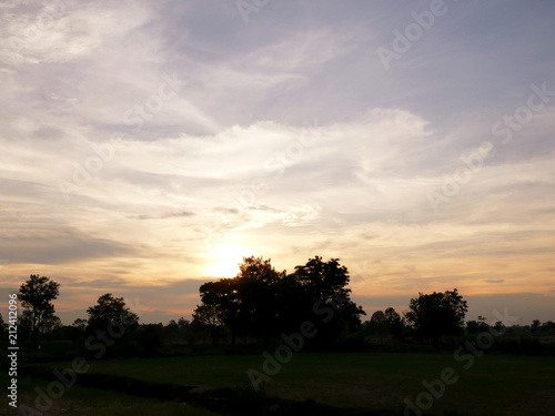 Beautiful Sunset, sunlight and tree field landscape in the evening.