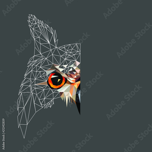 Low poly triangular and wireframe owl face on dark background, symmetrical vector illustration EPS 10 isolated.  Polygonal style trendy modern logo design. Suitable for printing on a t-shirt. photo