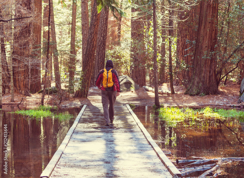 Hike in the forest