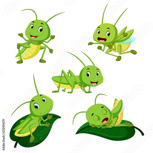 set collection grasshopper cartoon