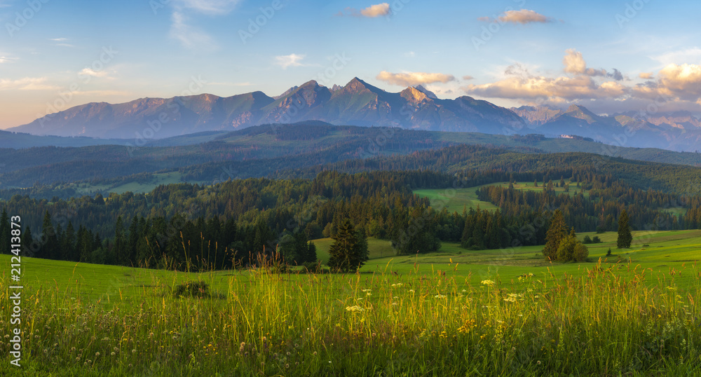 mountain meadow at the foot of the mountains- spring panorama of the Tatra Mountains, Poland