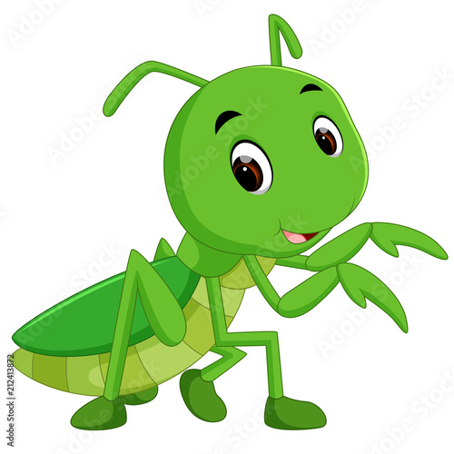 Praying mantis cartoon
