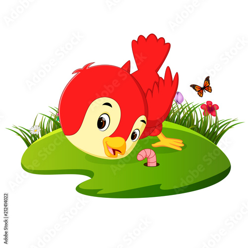 Cute bird cartoon