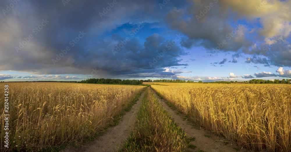 Naklejka premium beautiful, at the same time dramatic storm clouds over the field at sunrise