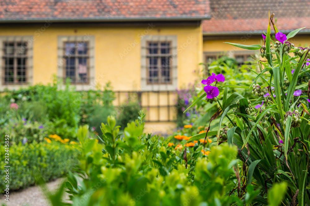 Gothe's Summer Flower Garden