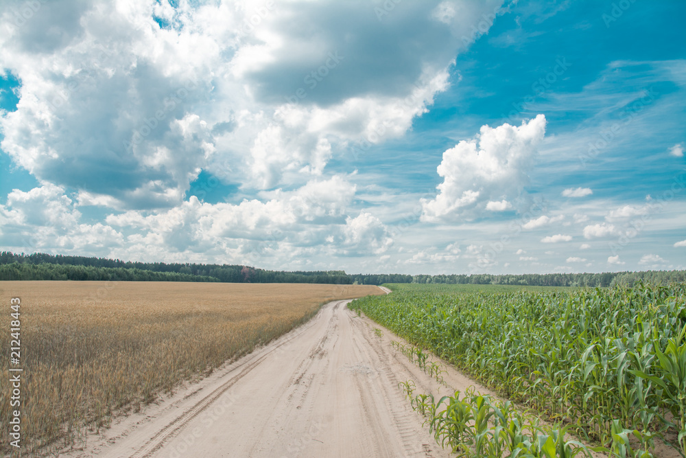 Fototapeta premium country road landscape