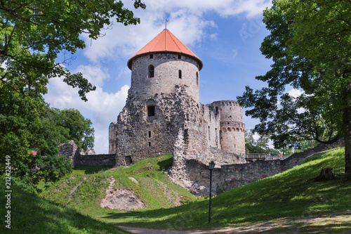 Old castle and city park. Green grass, trees and sun.
