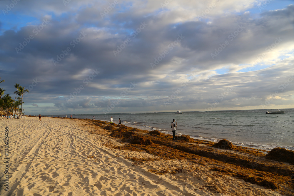 Morning on the beach of Bavaro (Dominican Republic) / Thrown on the sand seaweed