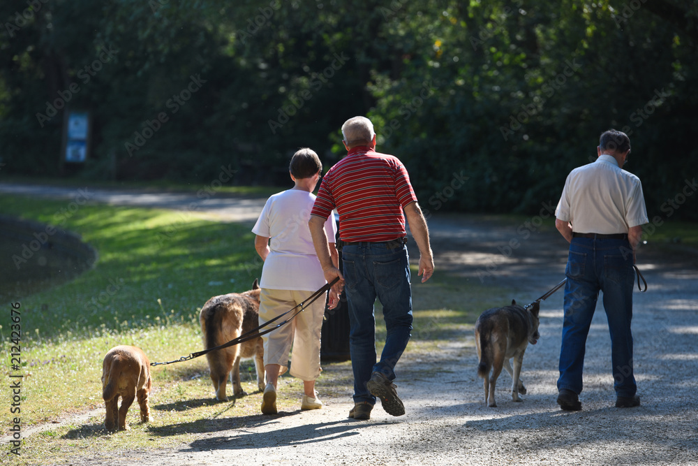 pension retraite age seniors loisir sante parc environnement soleil climat ete meteo chien animaux compagnie solitude vieillesse