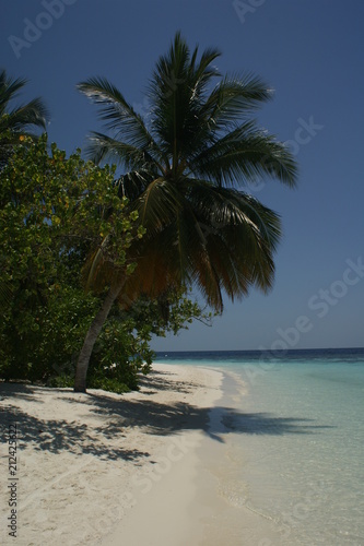 Palmstrand1