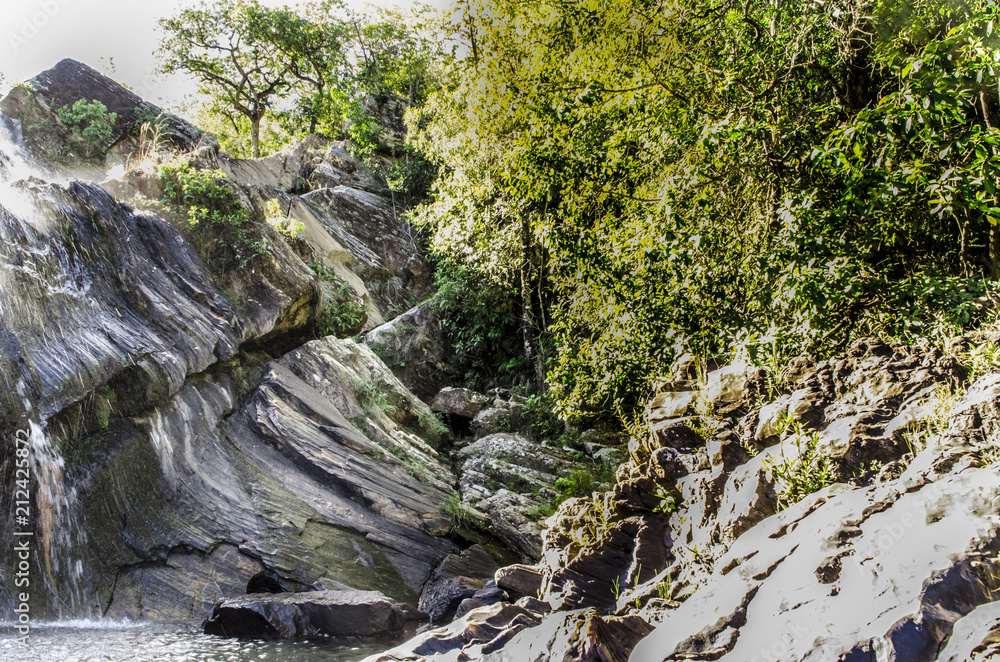 Obraz premium Mata ao Lado