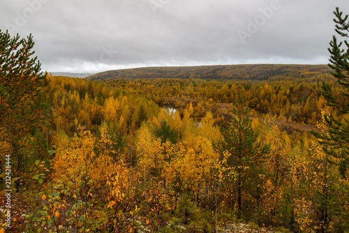 Autumn landscape  forest from high