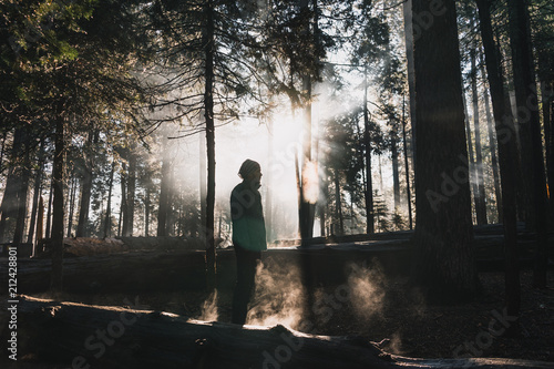 young man stands in Giant sequoia forest in Sequoia National Park, California during sunrise