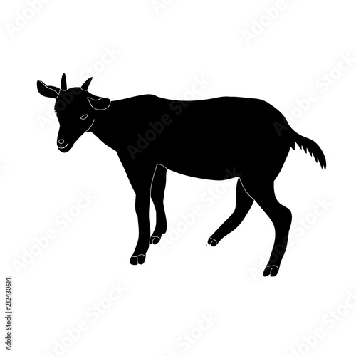 vector  isolated black silhouette goat with horns