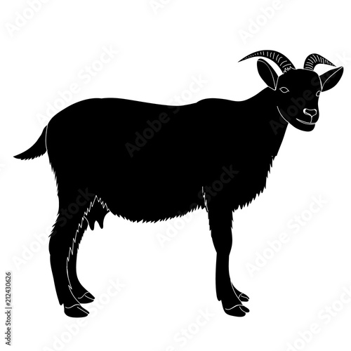 silhouette goat with horns