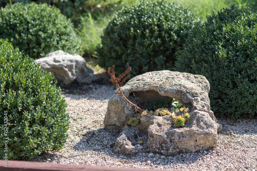 Obraz premium A large stone with an empty center lies in a green garden.