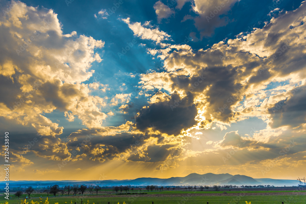 Fototapeta premium sunset in the field