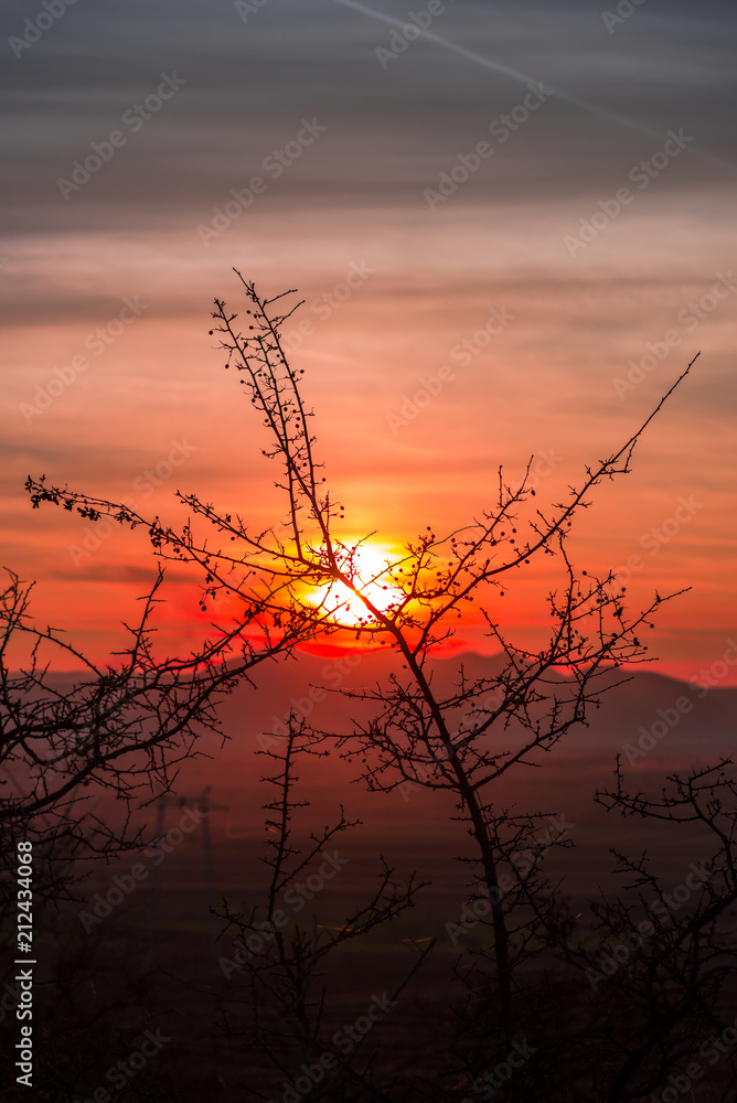 Obraz premium sunset over the river