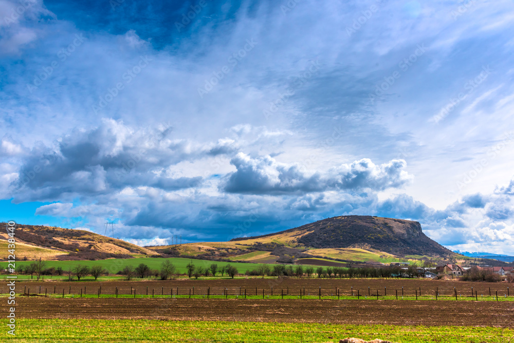 Spring landscape