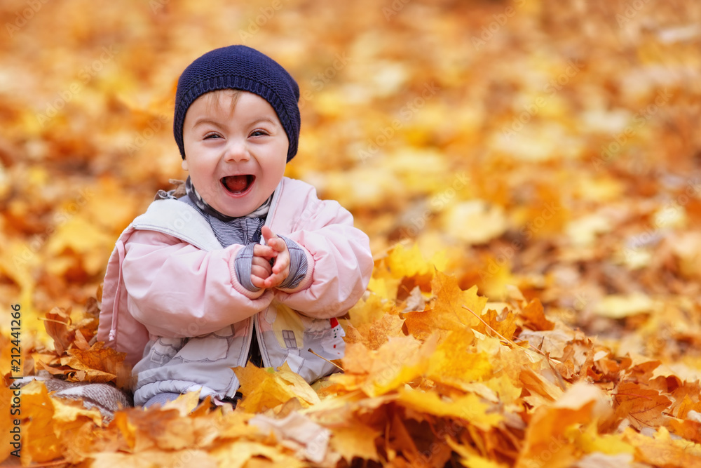 baby girl in the autumn park baby girl in the autumn park