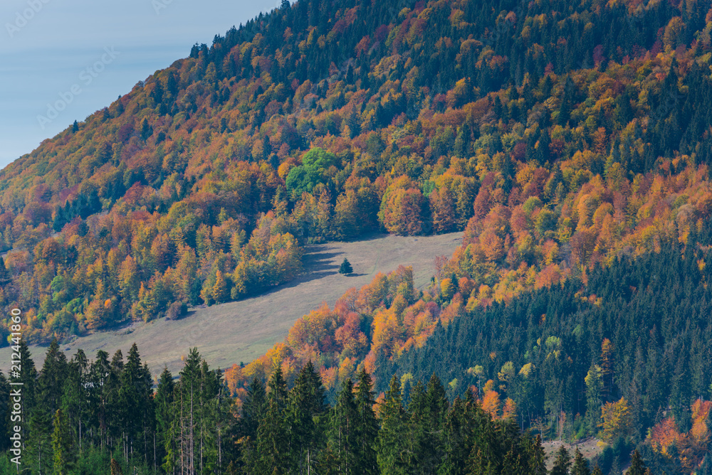 Autumn landscape in Pasul Tihuta, Romania
