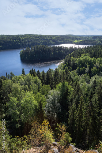 Scenic view of a lake and forests from Aulanko lookout tower in Hämeenlinna, Finland, in the summer.