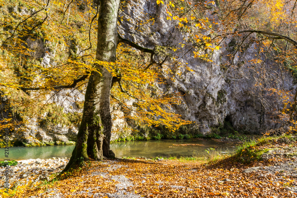 Obraz premium Autumn landscape