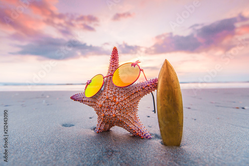 Fototapeta Naklejka Na Ścianę i Meble -  Starfish surfer on beach