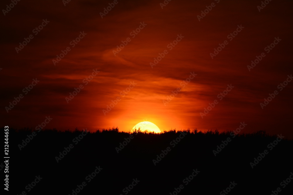 Obraz premium Sundowner