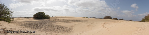 Viana Desert