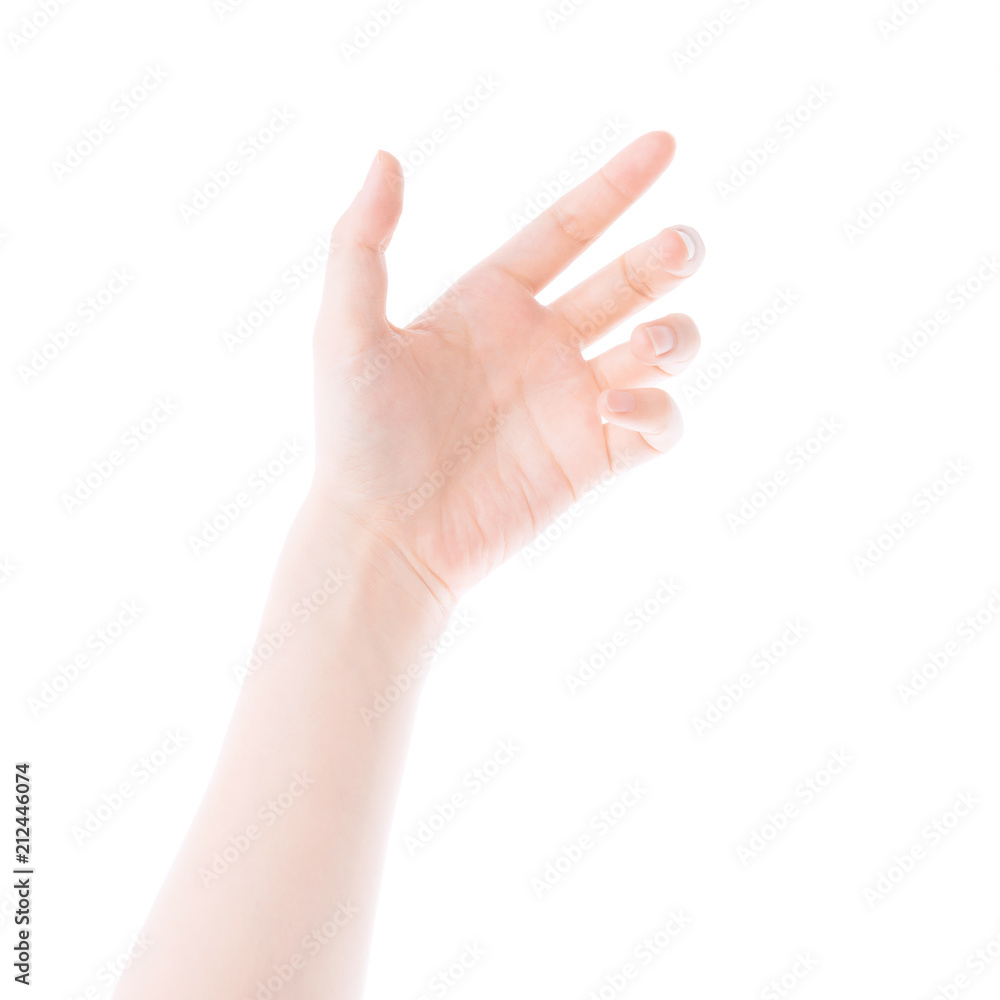 beautiful woman's hand isolated on white background. beautiful woman's hand isolated on white background.