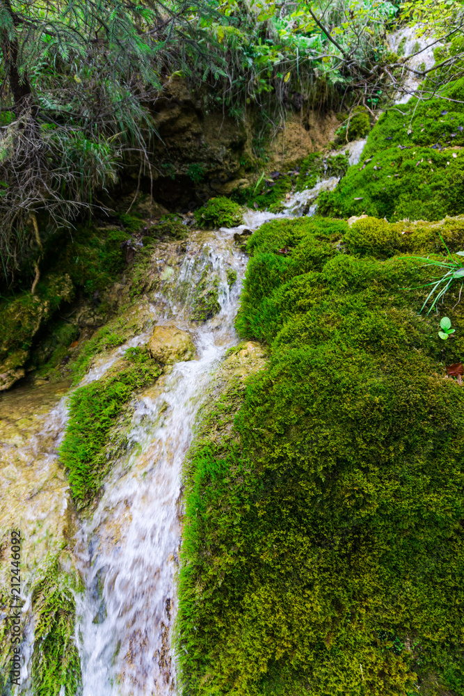 Wild waterfall Wild waterfall