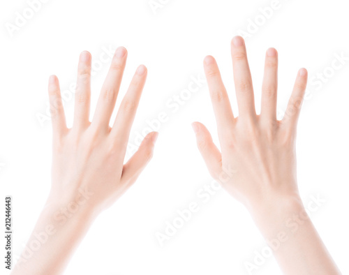 beautiful woman's hand isolated on white background..