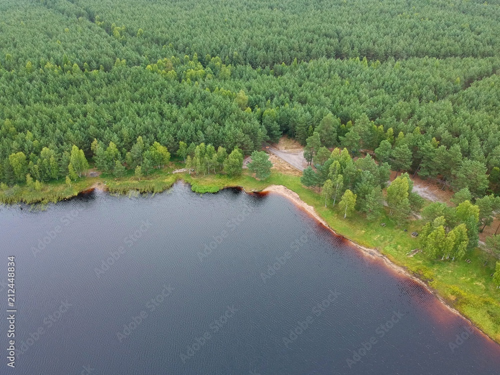 Aerial view on mud lake surface, forest and shore