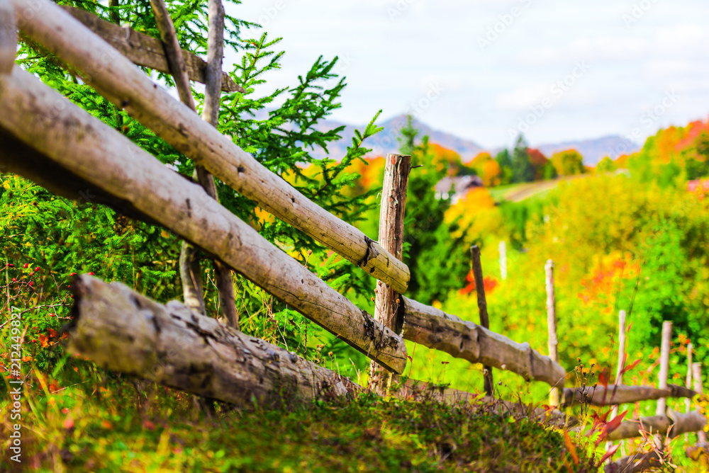 Fototapeta premium Autumn landscape in Carpathia Mountains