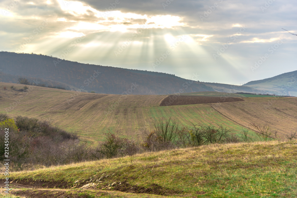 Obraz premium Springtime view