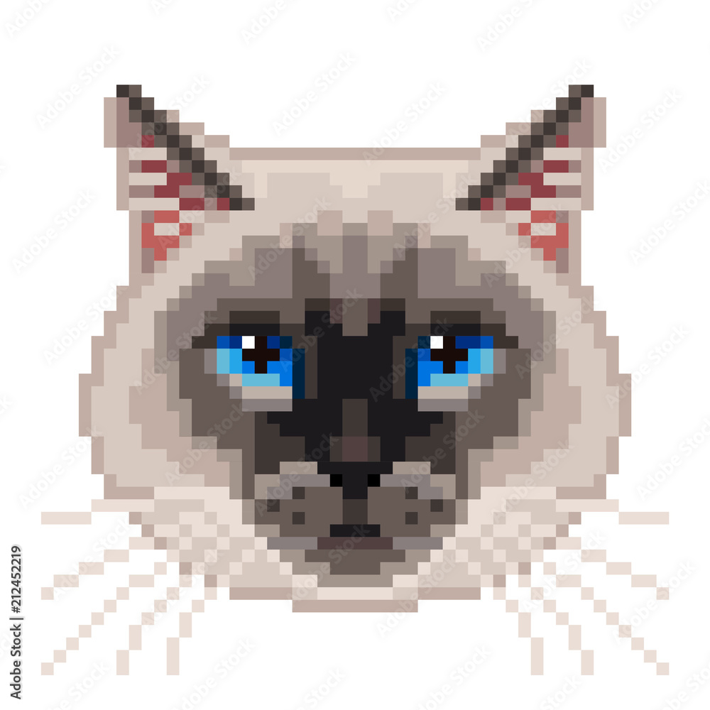 Obraz premium Pixel siamese cat face isolated vector