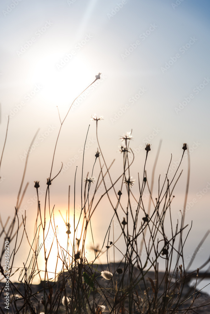 Fototapeta premium Sunset near the sea
