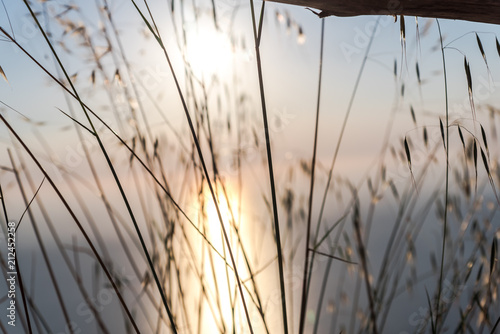 Sunset near the sea