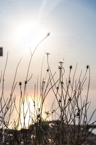 Sunset near the sea