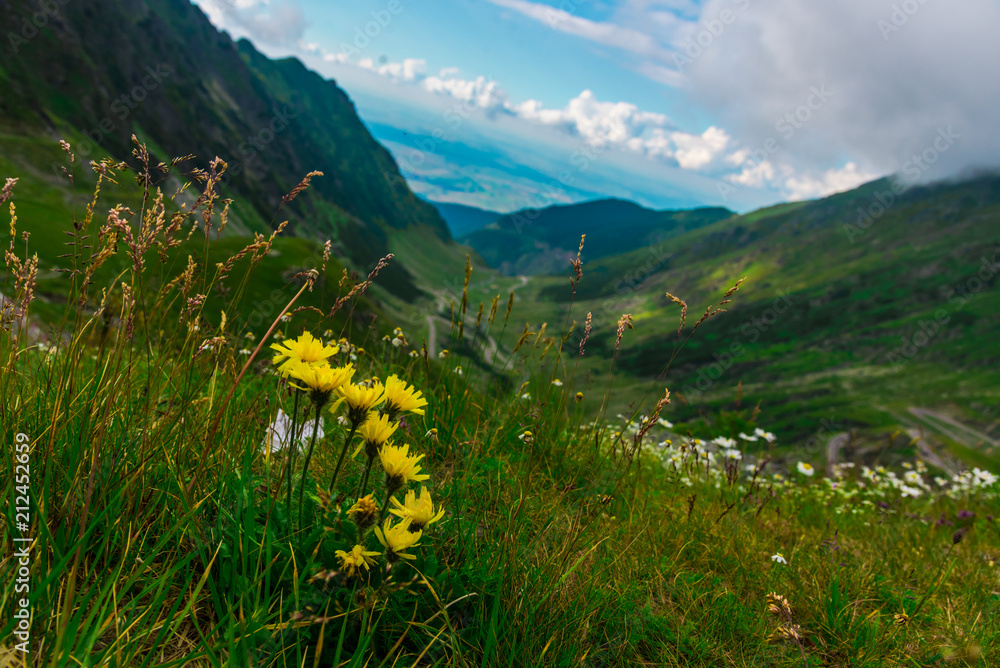 Fototapeta premium Transfagarasan Road