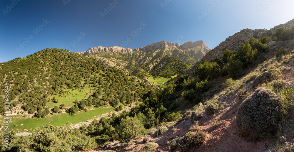 Juniperus Protected Area, Hezar Masjed Mountains, Khorasan, Iran